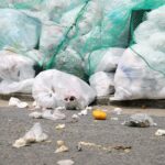 口臭の原因となる「揮発性硫黄化合物（VSC）」とは