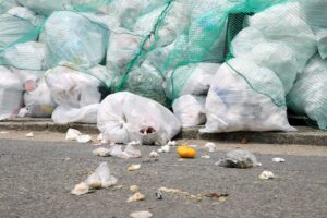 口臭の原因となる「揮発性硫黄化合物（VSC）」とは